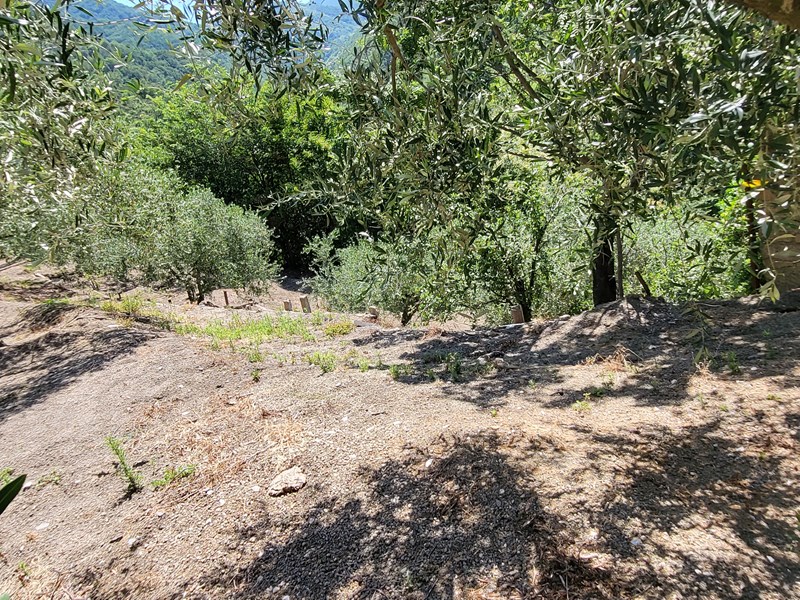 Terreno agricolo in Vendita a Quadrelle, zona periferia, 115'000€, 14000 m², con Box