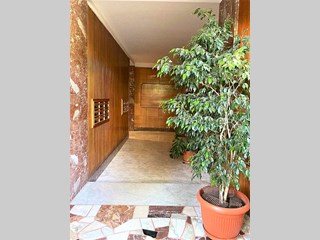 Appartamento in Affitto a Roma, zona zona trieste via ostriana, 2'290€, 170 m²