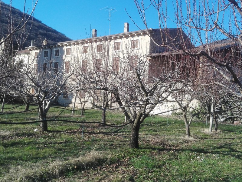 Casale in Vendita a Verona, zona Mizzole, 1'190'000€, 1500 m²