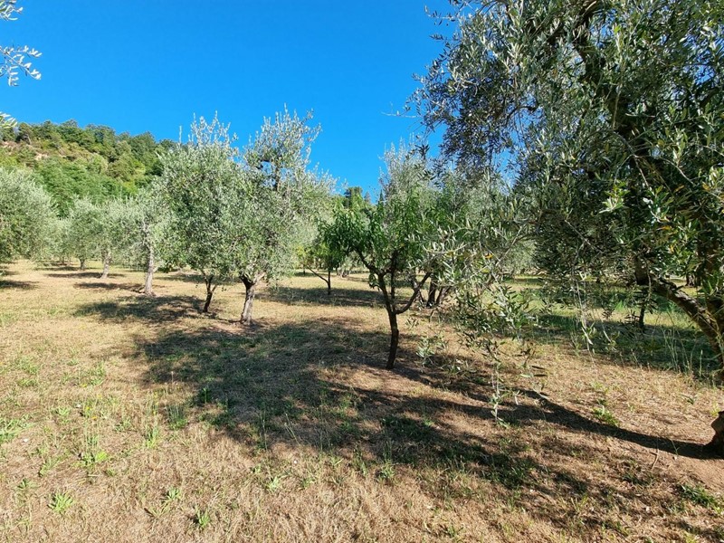 Terreno agricolo in Vendita a Casciana Terme Lari, 25'000€, 10000 m²