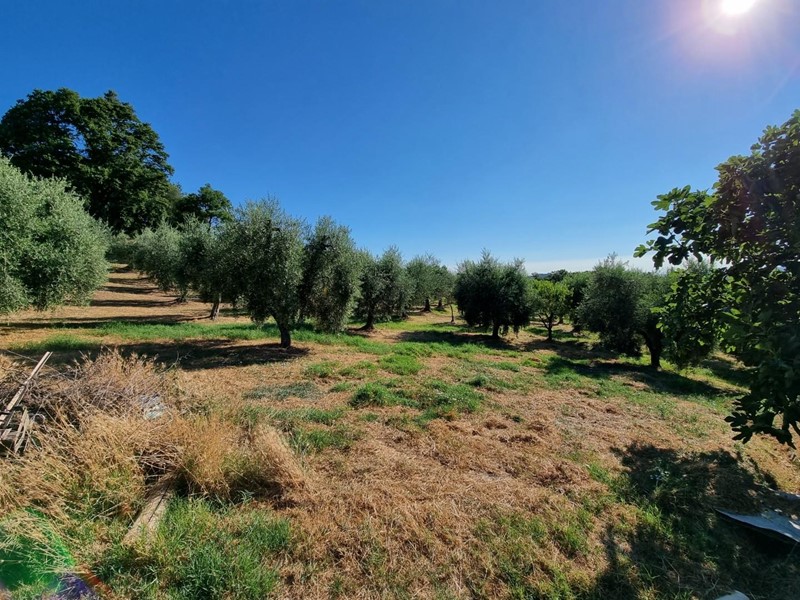 Terreno agricolo in Vendita a Casciana Terme Lari, 35'000€, 12000 m²