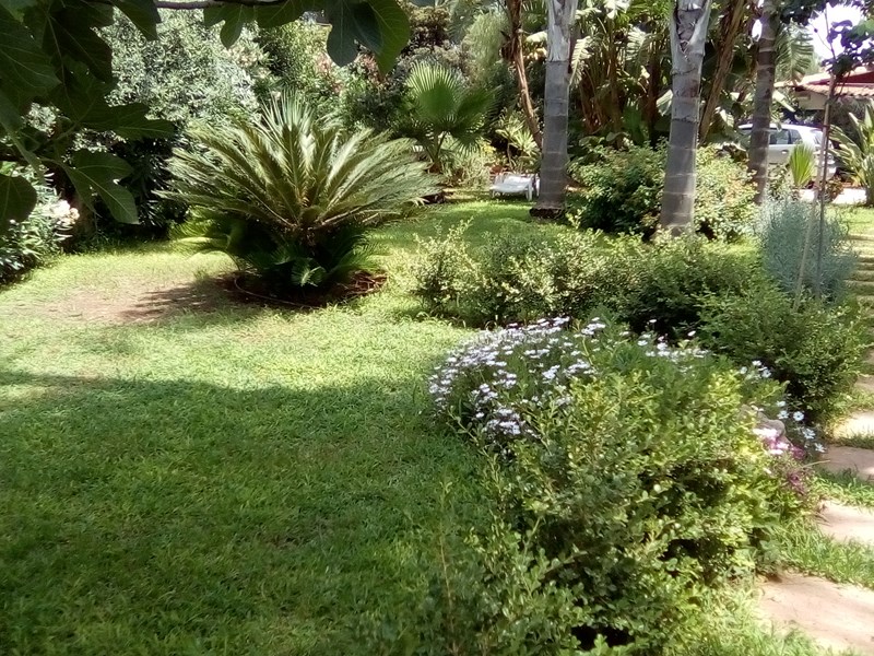 Villa in Affitto a Siracusa, zona Viale dei lidi fontane bianche , 350€, 70 m², arredato