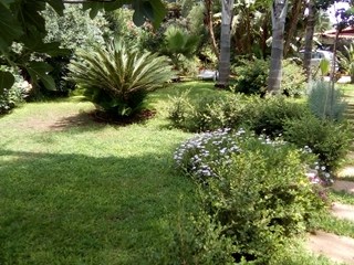 Villa in Affitto a Siracusa, zona Viale dei lidi fontane bianche , 350€, 70 m², arredato