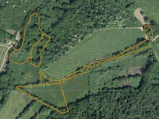 Terreno agricolo in Vendita a Cividale del Friuli, 45'000€, 22560 m²