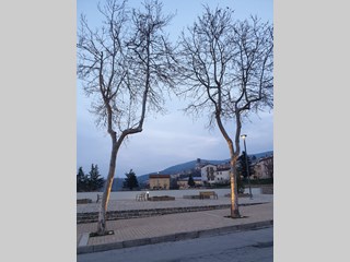 Trilocale in Affitto a Pignola, zona Pignola CENTRO, 390€, 80 m², arredato