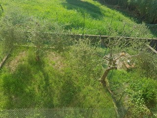 Quadrilocale in Vendita a Fosdinovo, zona Caniparola, 183'000€, 98 m²