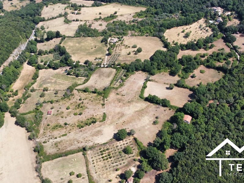 Terreno edificabile in Vendita a Montasola, 50'000€, 46000 m²