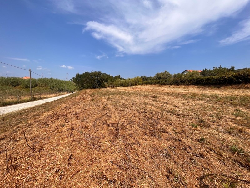 Terreno industriale in Vendita a Santo Stefano di Magra, 115'000€, 6000 m²