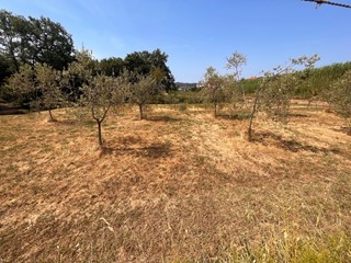 Terreno industriale in Vendita a Santo Stefano di Magra, 115'000€, 6000 m²