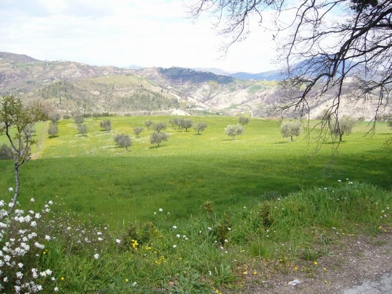 Terreno agricolo in Vendita a Ascoli Piceno, zona Rosara, 98'000€, 18000 m²