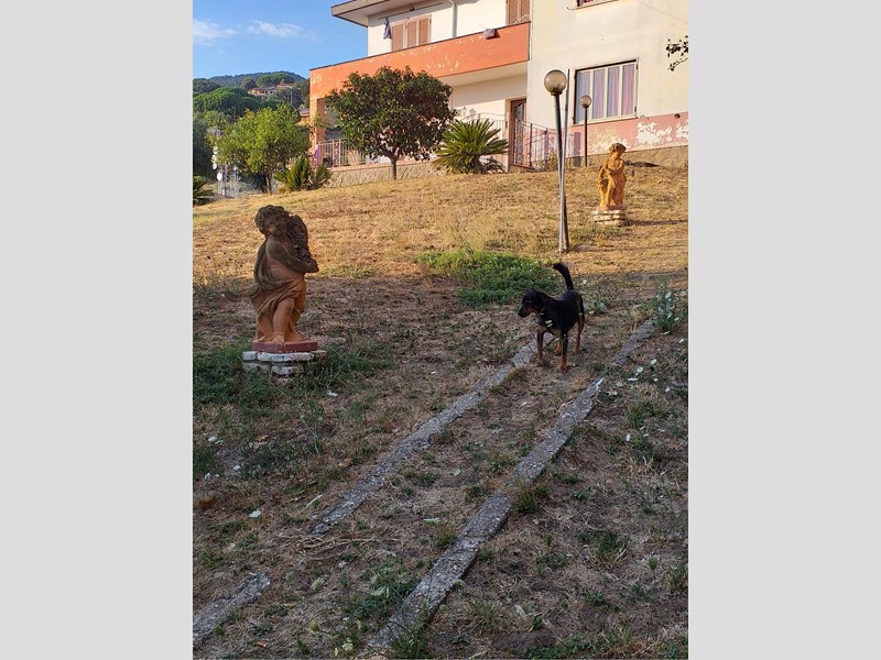 Villa in Vendita a Trevignano Romano