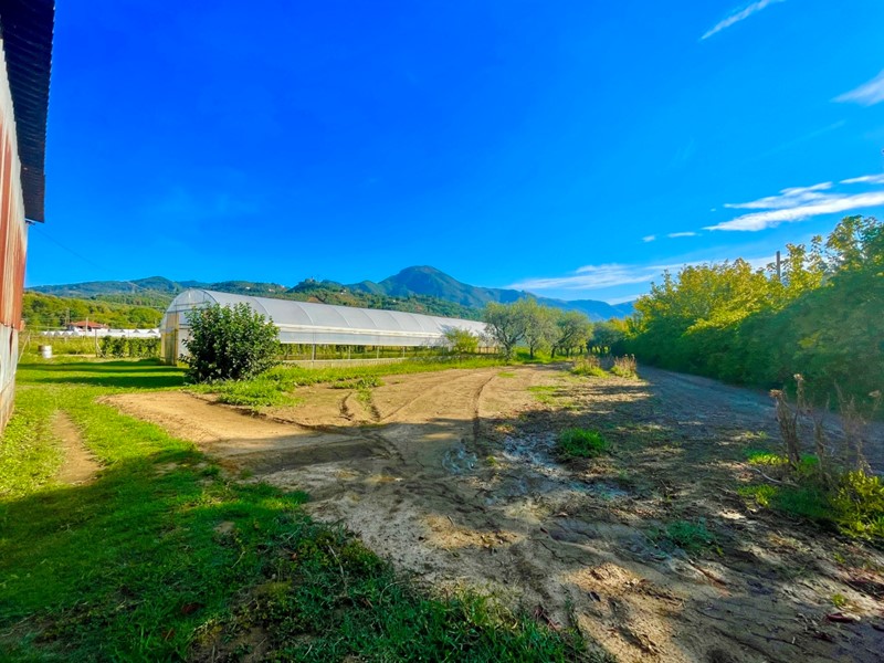 Casa Indipendente in Vendita a Camaiore, zona Capezzano Pianore, 450'000&euro;, 200 m²