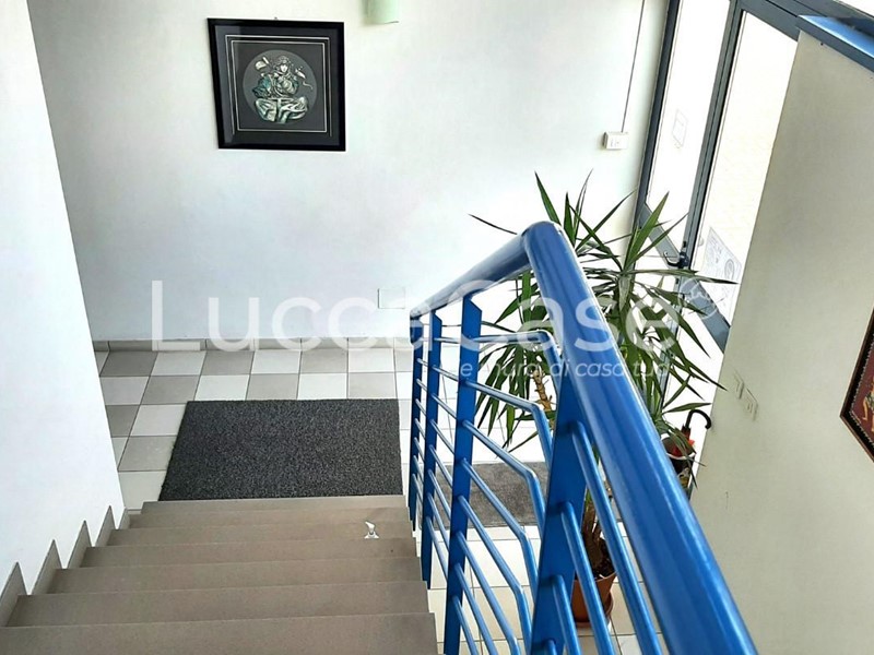 Ufficio in Affitto a Lucca, zona Sant'Anna, 2'500€, 330 m²