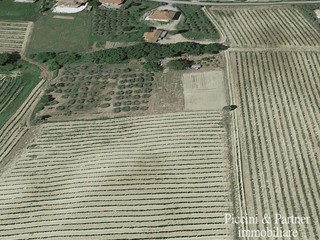 Terreno agricolo in Vendita a Montepulciano, 370 m²