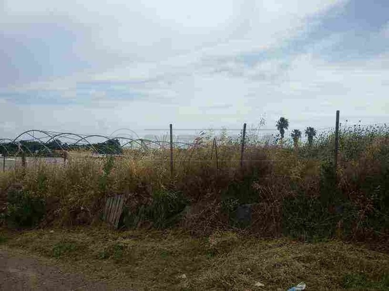 Terreno agricolo in Vendita a Ladispoli, 90'000€, 10000 m²