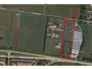 Terreno agricolo in Vendita a Ladispoli, 90'000€, 10000 m²