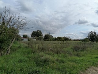 Terreno agricolo in Vendita a Ponsacco, 35'000€, 12080 m²