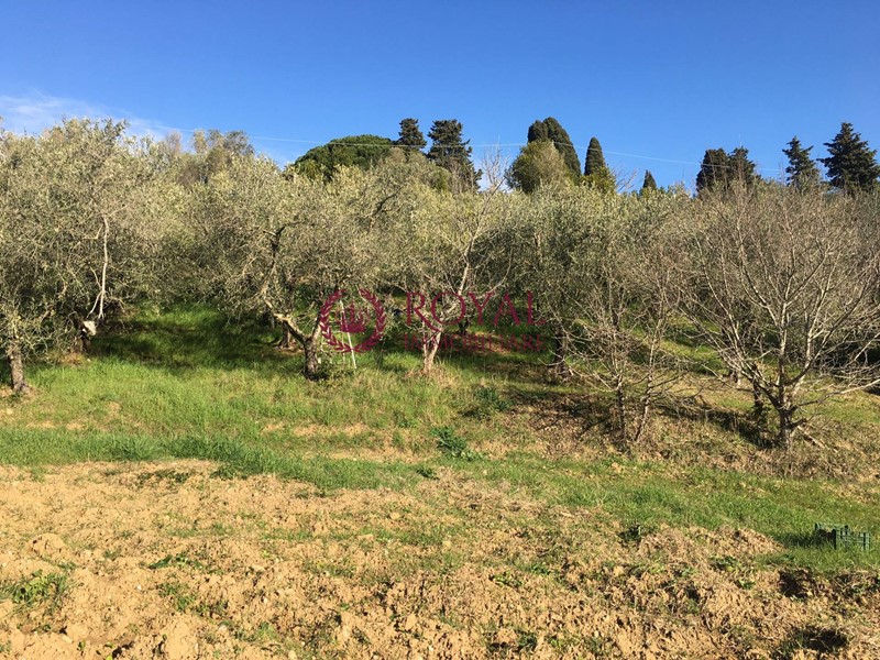 Terreno agricolo in Vendita a Livorno, 42'000€, 7400 m²