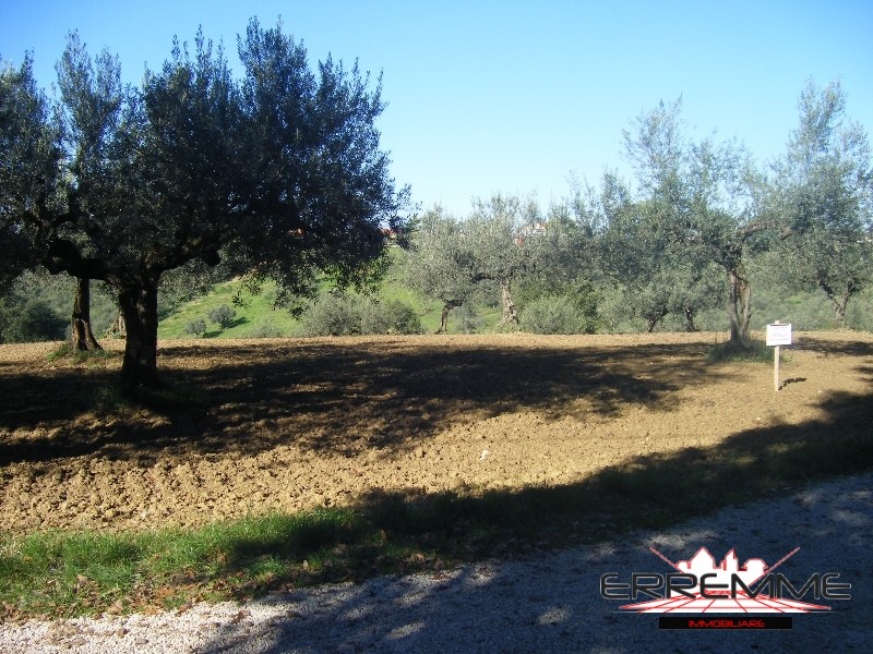 Terreno edificabile in Vendita a Cepagatti, 150'000€, 7980 m²