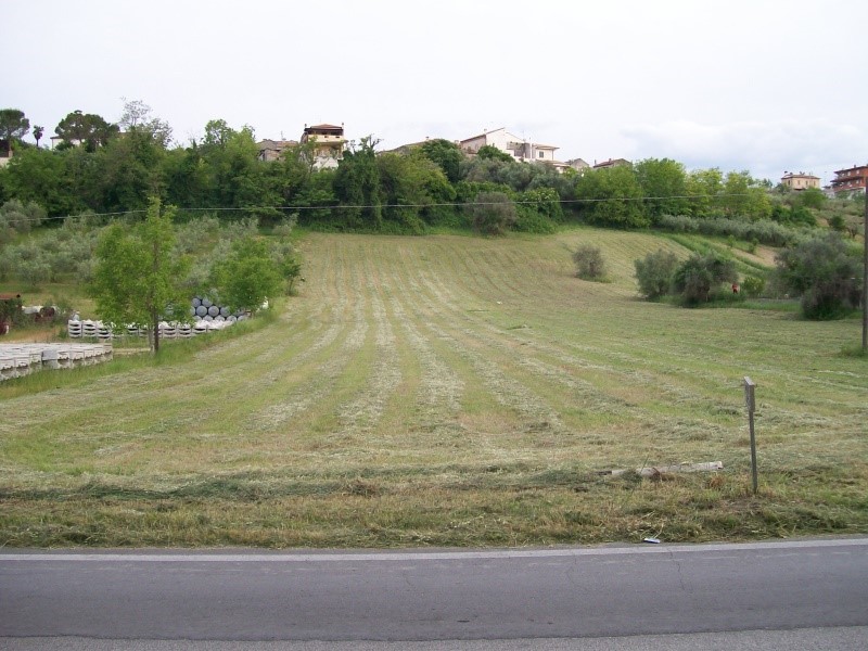 Terreno edificabile in Vendita a Rosciano, 2630 m²