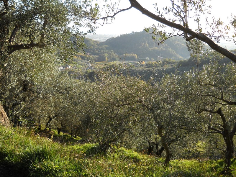 Terreno agricolo in Vendita a Luni, 30'000€, 2820 m²
