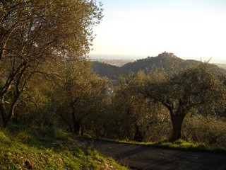 Terreno agricolo in Vendita a Luni, 30'000€, 2820 m²