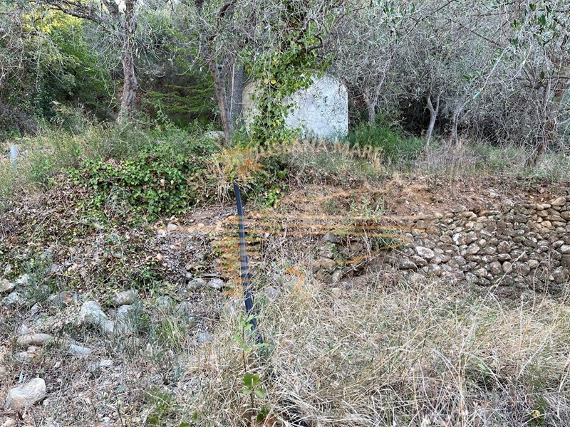 Terreno agricolo in Vendita a Sanremo, zona Bussana, 55'000€, 3700 m²