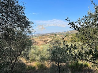 Terreno agricolo in Vendita a Sanremo, zona Bussana, 55'000€, 3700 m²