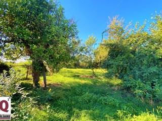Terreno agricolo in Vendita a Carinola, 28'000€, 3800 m²