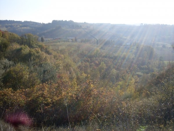Terreno agricolo in Vendita a San Miniato, 45'000€, 22460 m²