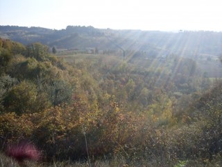 Terreno agricolo in Vendita a San Miniato, 45'000€, 22460 m²