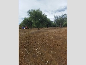 Terreno edificabile in Vendita a Filetto, zona Semicentro, 45'000€, 6610 m²