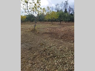 Terreno edificabile in Vendita a Filetto, zona Semicentro, 45'000€, 6610 m²