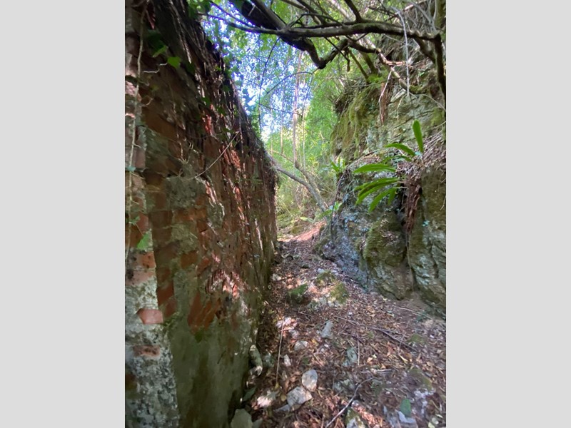 Terreno agricolo in Vendita a Fosdinovo, 21'000€, 31000 m²