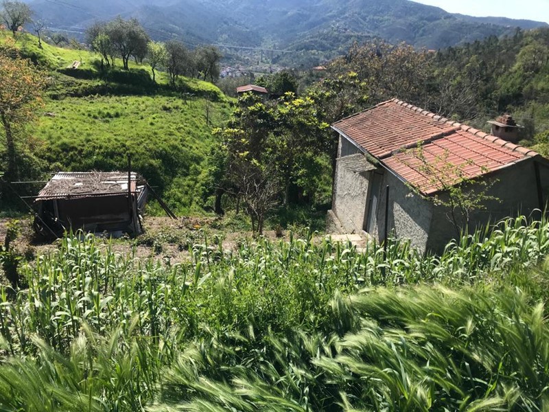 Terreno edificabile in Vendita a Casarza Ligure, zona Cardini, 60'000€, 70 m²