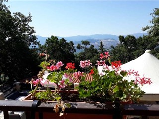 Attività commerciale in Vendita a Matera, 950'000€, 4500 m², arredato