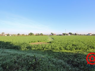Terreno agricolo in Vendita a Cesena, zona Calabrina, 161'000€, 45373 m²