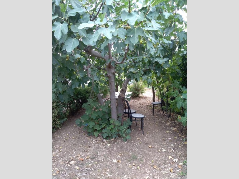 Casa Indipendente in Vendita a Sulmona, 250'000€, 250 m², con Box