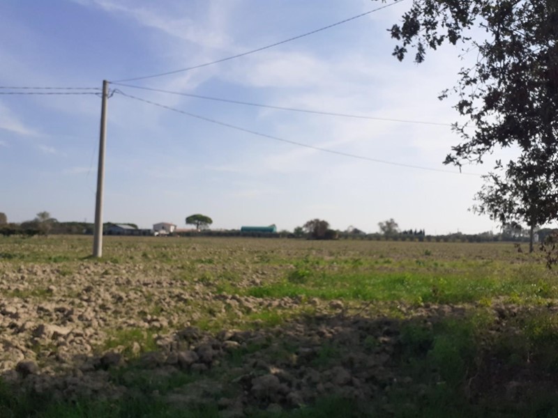 Terreno agricolo in Vendita a Cascina, zona San Lorenzo a Pagnatico, 20'000€, 7350 m²