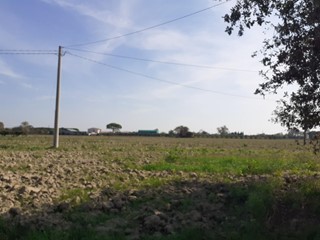 Terreno agricolo in Vendita a Cascina, zona San Lorenzo a Pagnatico, 20'000€, 7350 m²