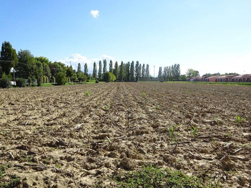 Casa Indipendente in Vendita a Mirano, 170'000€, 230 m²