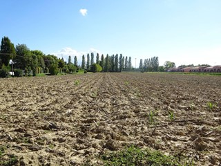 Casa Indipendente in Vendita a Mirano, 170'000€, 230 m²