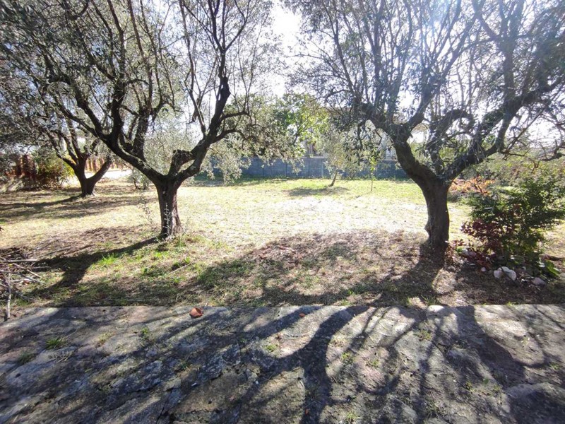 Casa Indipendente in Vendita a Luni, 395'000€, 240 m², con Box