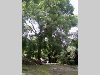 Casa Indipendente in Vendita a Fermo, 270'000€, 300 m², con Box