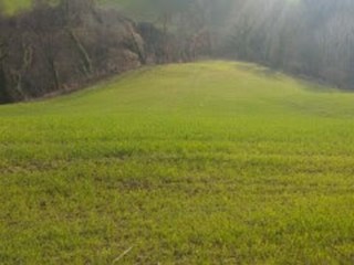 Casa Indipendente in Vendita a Mondavio, 450'000&euro;, 230300 m²