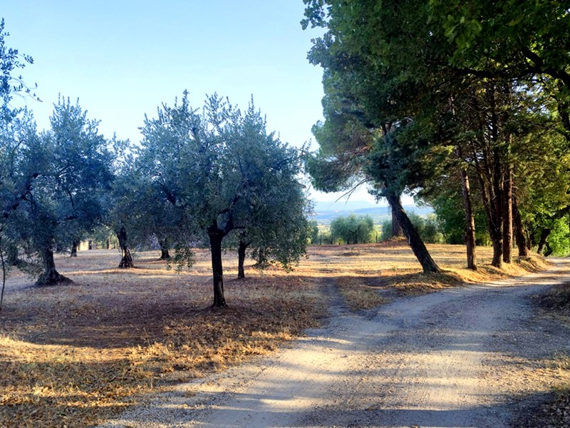 Casa Indipendente in Vendita a Baschi, 295'000&euro;, 220 m²