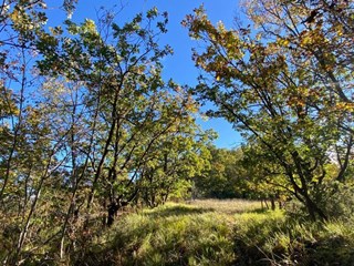 Casa Indipendente in Vendita a Ponzone, 28'000€, 50 m²