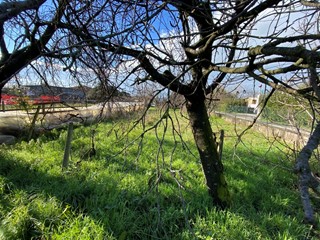 Terreno edificabile in Vendita a Pietrasanta, zona pietrasanta, 220'000€, 160 m²