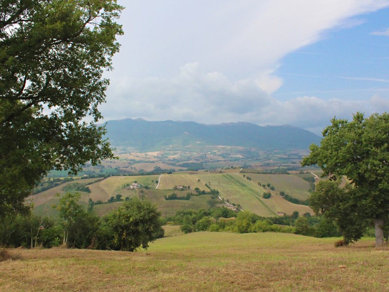 Terreno edificabile in Vendita a Matelica, zona Gagliole, 350'000&euro;, 9700 m²