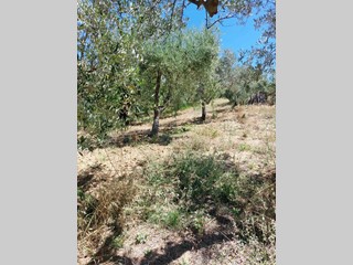 Terreno agricolo in Vendita a Lanciano, 15'000€, 8500 m²